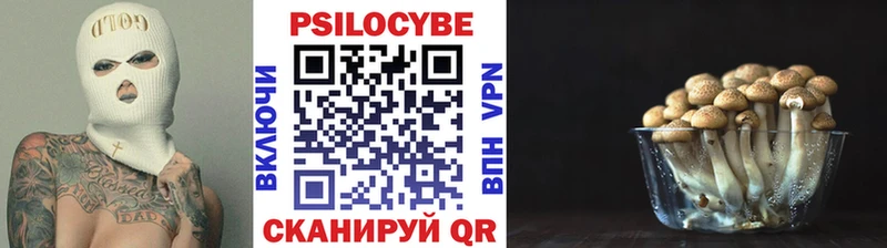 Псилоцибиновые грибы MAGIC MUSHROOMS Купить Калтан