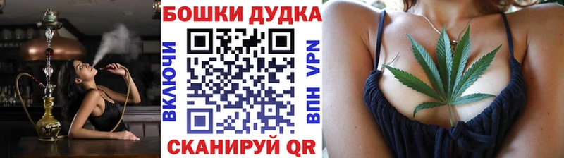 Бошки Шишки семена  Купить закладки  Калтан 